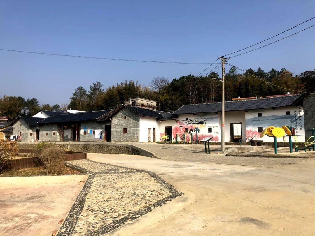 乡村振兴看连平田源镇环境大变样产业大发展美丽田源在眼前