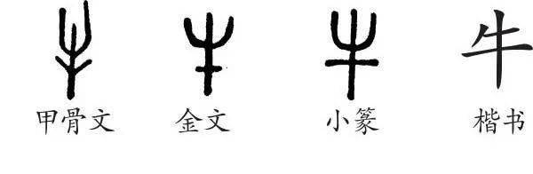 牛年说"牛",你想知道的都在这里了!