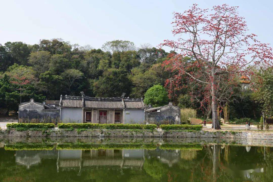 【漂亮】澄海新春打卡地冠山书院