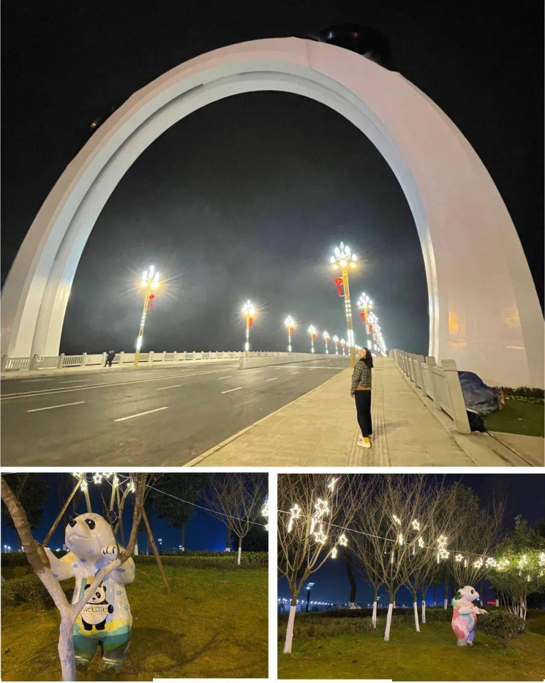 雅安大兴二桥是的形状哦