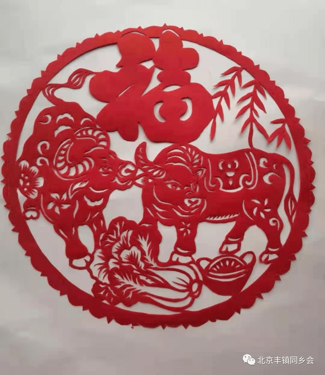 张瑞云剪纸牛转乾坤