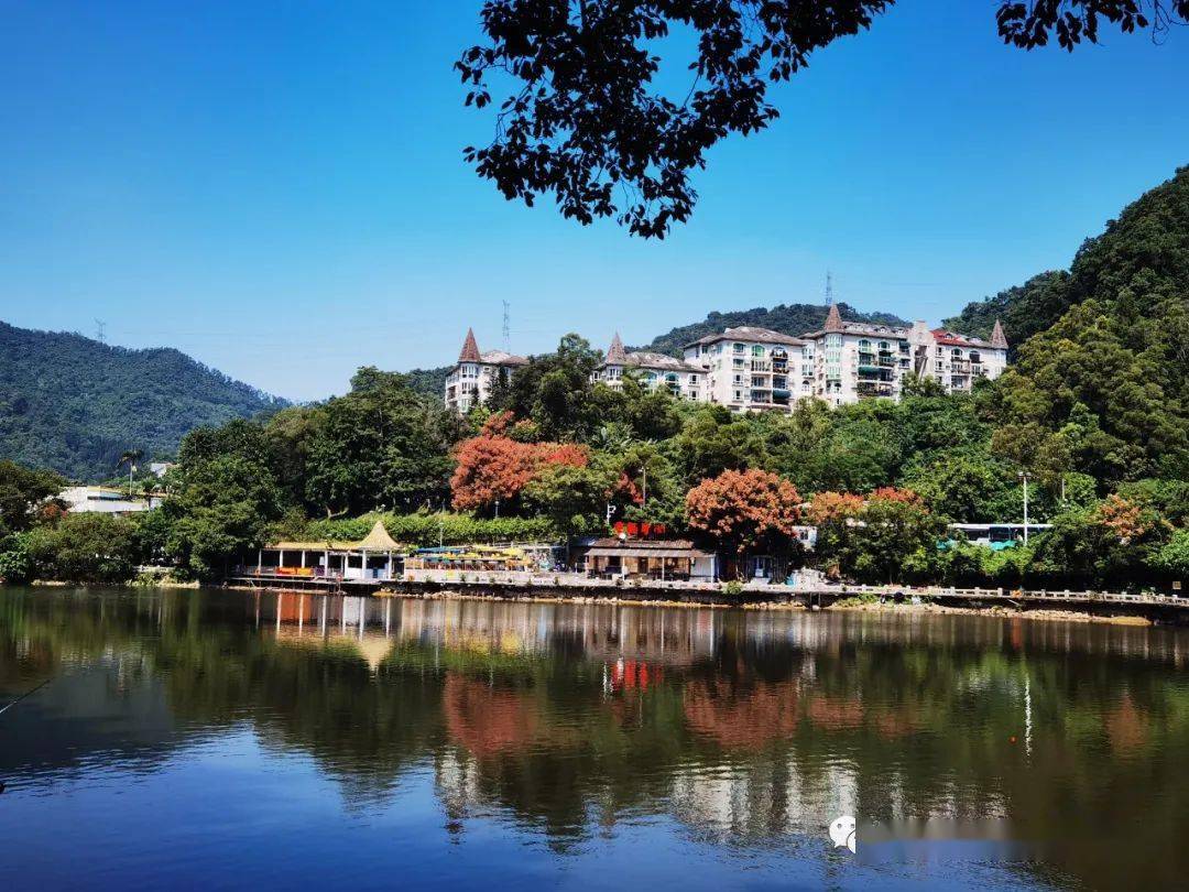 深圳市民俗摄影学会留深工作人员徒步深圳相思林公园