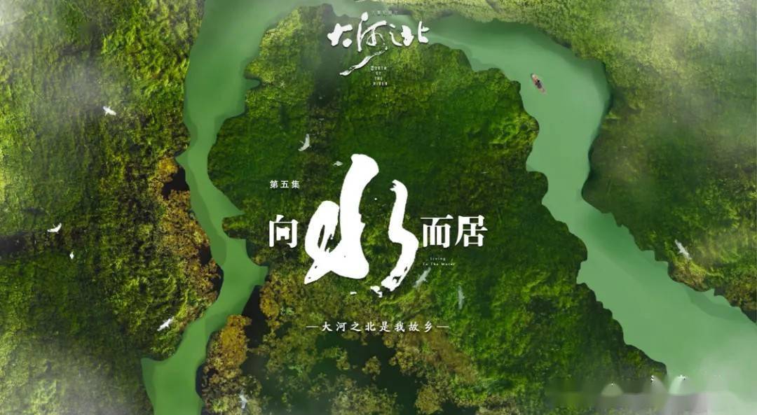 业内专家高度评价大河之北持续升温