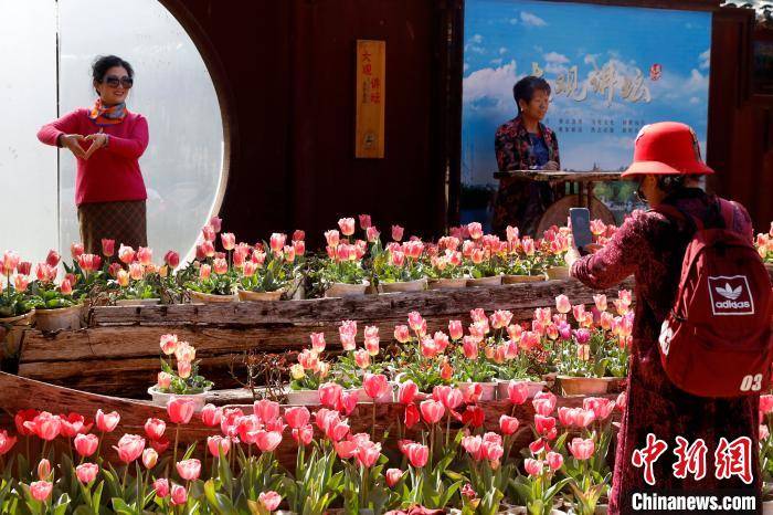 本地游持续升温 云南春节假期接待游客1667万人次