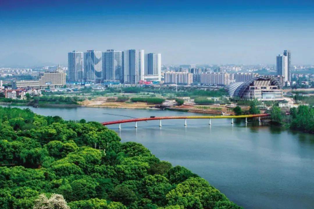 外贸出口增速全省第一 市场主体大幅增长——金东推进"三区"协同发展