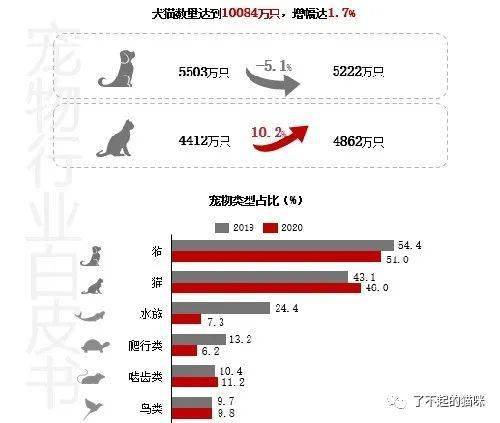 2020年全国城镇低保人口_2020年全国人口统计图