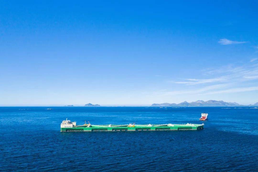 10万吨巨轮深海养大黄鱼质量堪比野生养鱼新时代来了