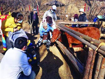 牛年探“牛”萌宠来贺岁