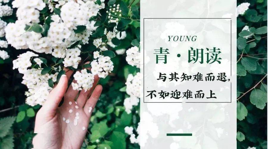 青朗读与其知难而退不如迎难而上