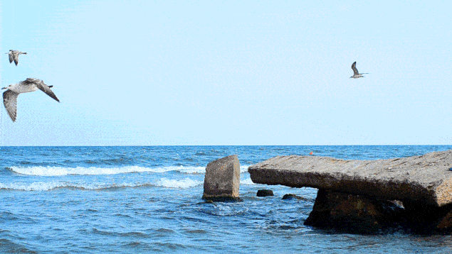 海燕的幸福 a587d6bfe6344f72800219fb3cc3b644.gif