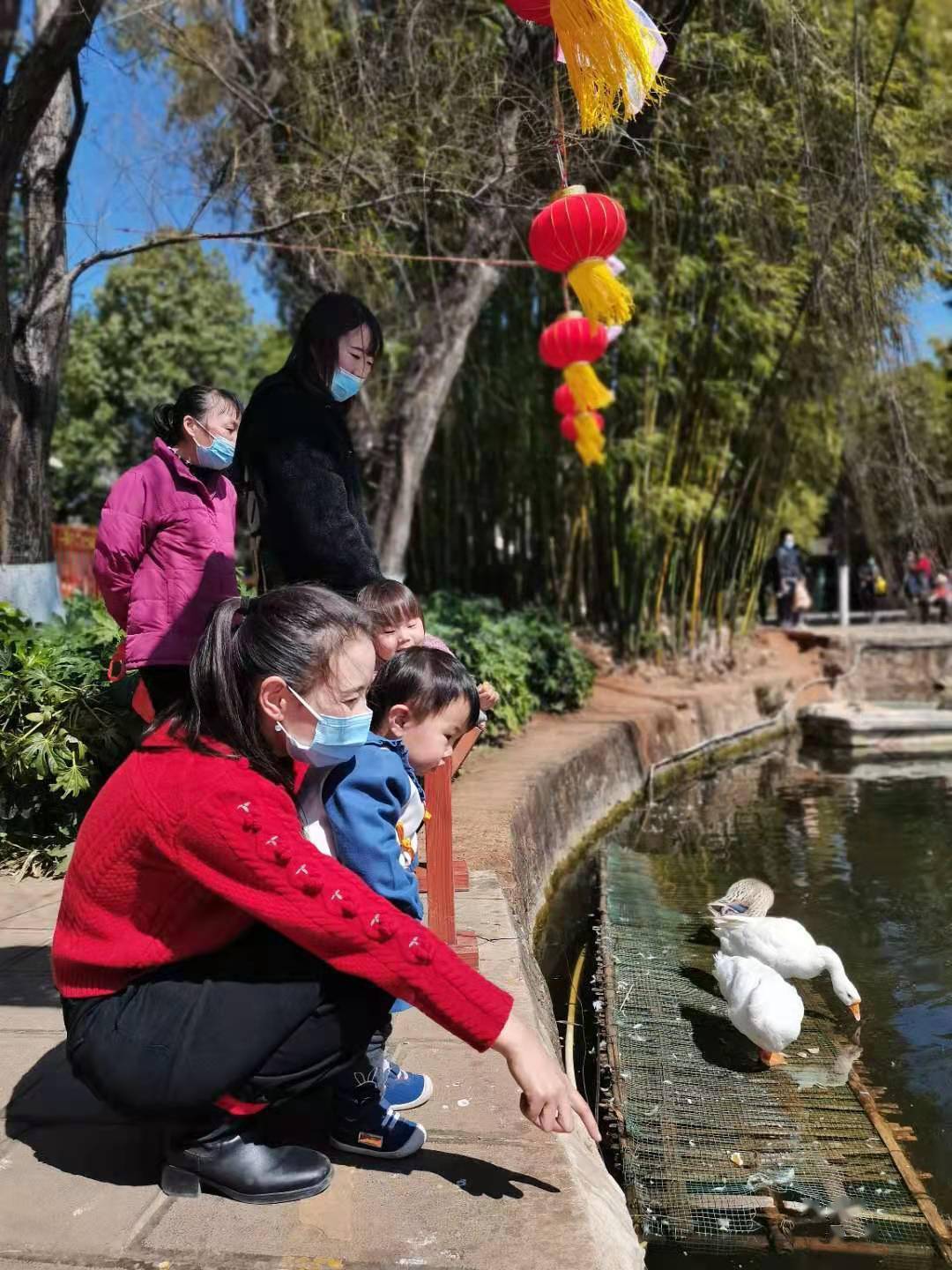 云南响应“就地过年”带热本地深度游  春节期间实现旅游收入108亿元