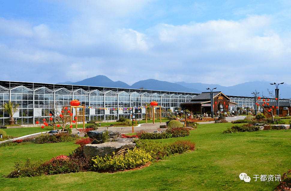 禾丰兰花小镇随拍