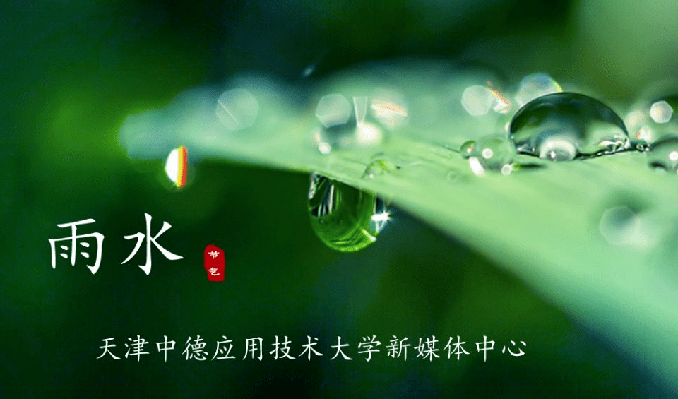 e8d4044c8af84cb29758ed4ad2fb0fd8.png
