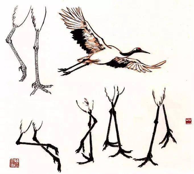 丹顶鹤写意画法教程上