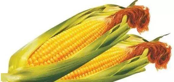 1a2656434e604c01ac19384e26ea8563.jpeg
