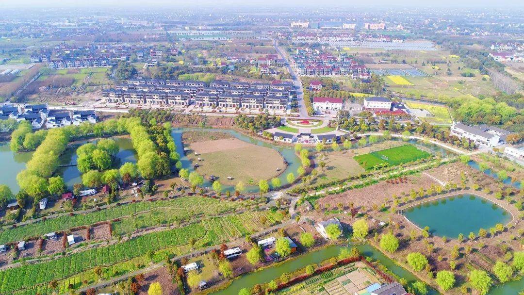 桐乡3个村上榜省级一村万树示范村