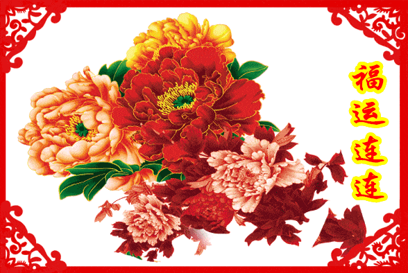 正月初八,送大家88朵牡丹,祝大家花开富贵!