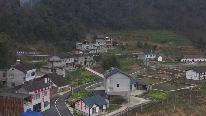 化州同庆竹山村常住人口_湖北十堰竹山鲤鱼沟村