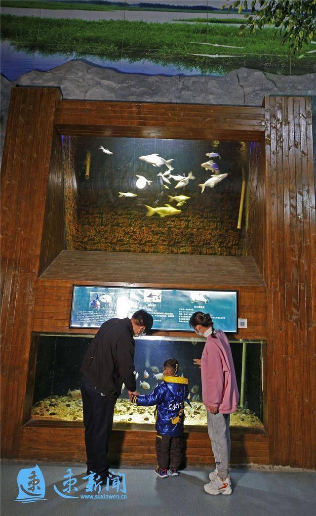 图说洪泽湖鱼族馆引客来