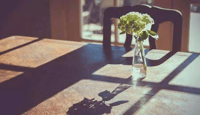 飞蛾扑火的后果 5f3bfbfd98cd41a09ce09b4020876107.png