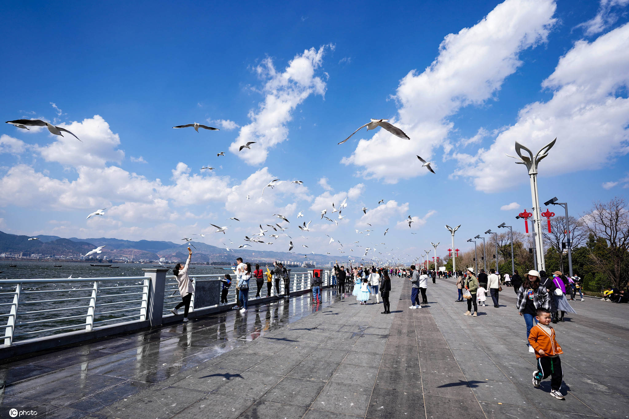 雲南昆明:市民到海埂大壩喂鷗觀景