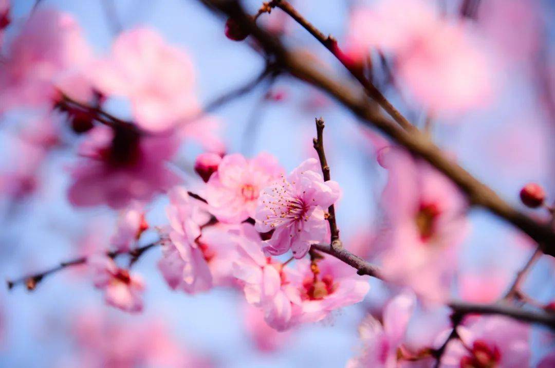 2021北方gdp十强_2020gdp十强(3)