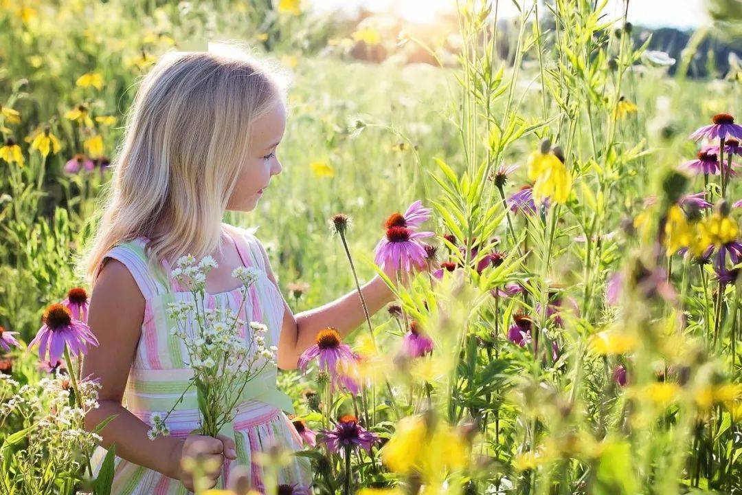 a1fa5266d85a43cd981606670d396cdf.jpeg