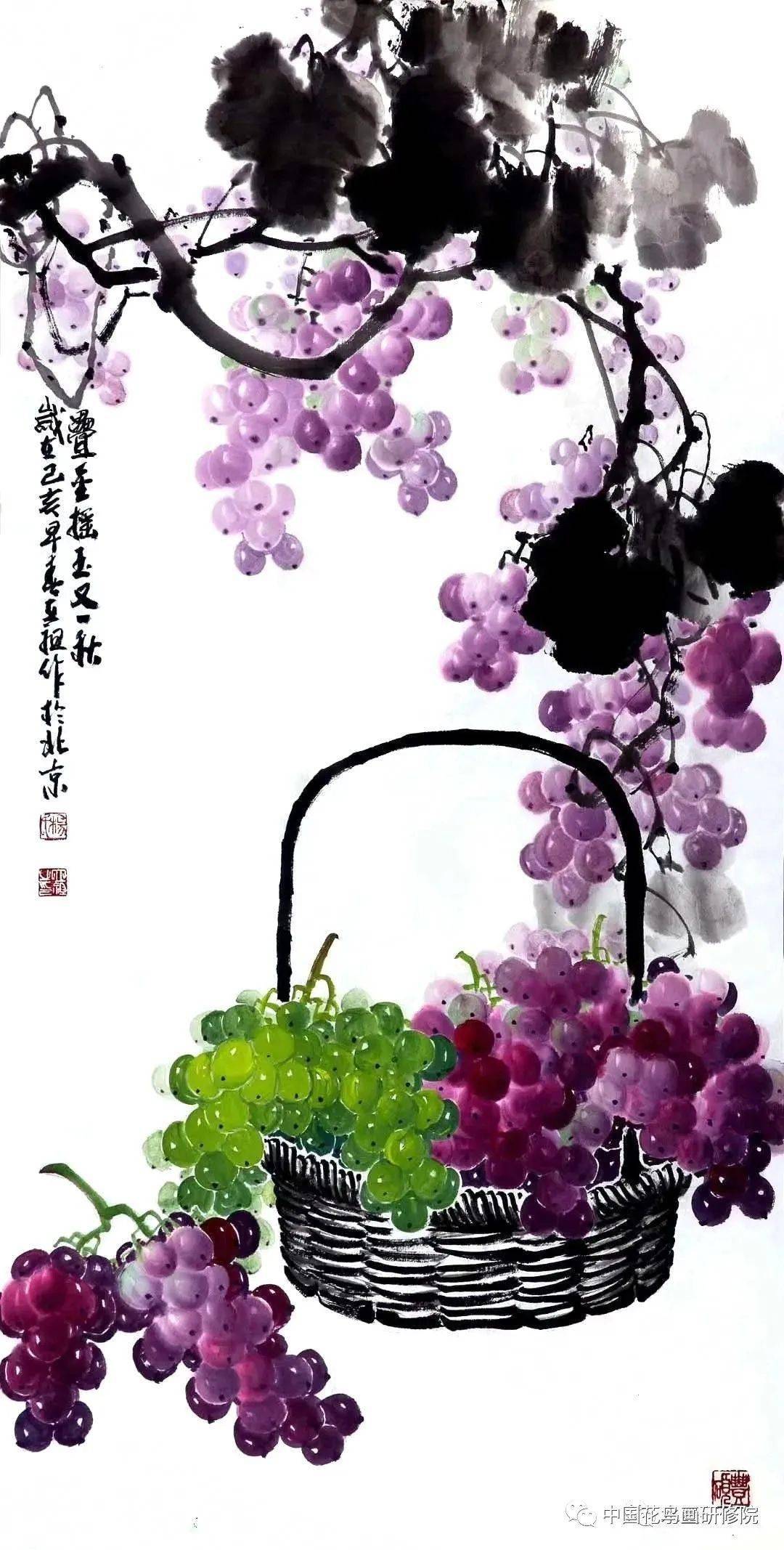 满架高撑紫络索一枝斜亸金琅珰3月6日和杨立祖老师一起画葡萄