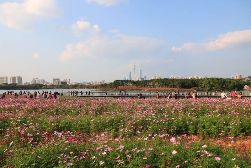 今年春节海珠主要景区接待游客近20万人次，广州塔最热门