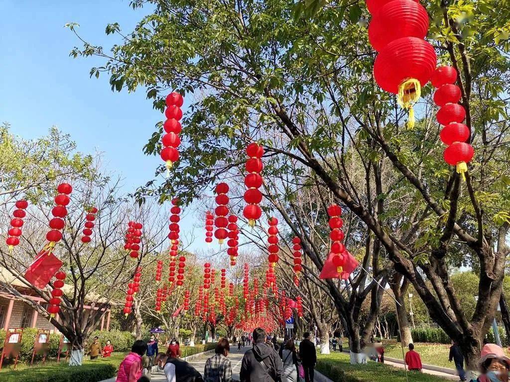 大夫山山顶图片