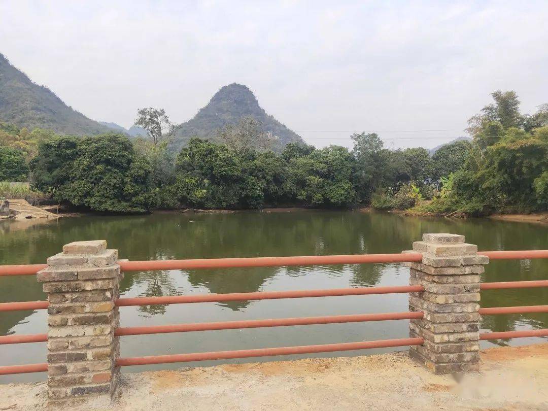 驮卢镇崇王村成为崇左市首个整村入围 "四个好"宜居村庄达标村