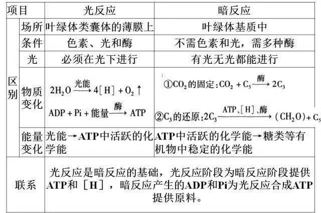e26014ed76394dc99000504429e11953.jpeg