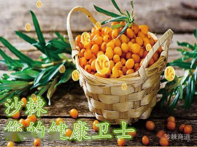 沙棘排酸的原理是什么_沙棘树是一种什么植物(2)