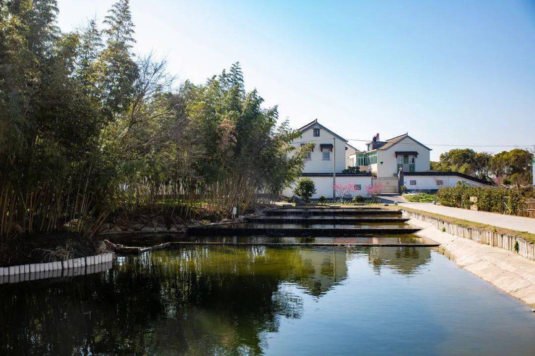 走去南梅村赏梅