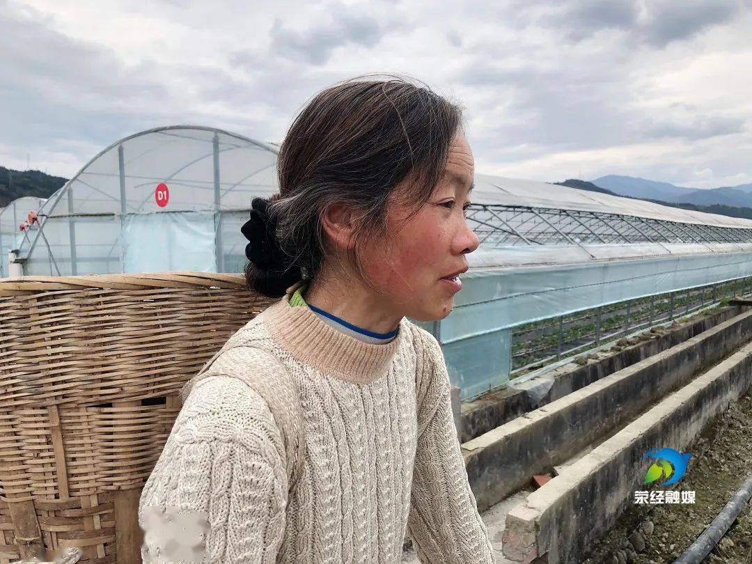 【新春走基层】五宪镇:"莓"好时光 "犇"向小康