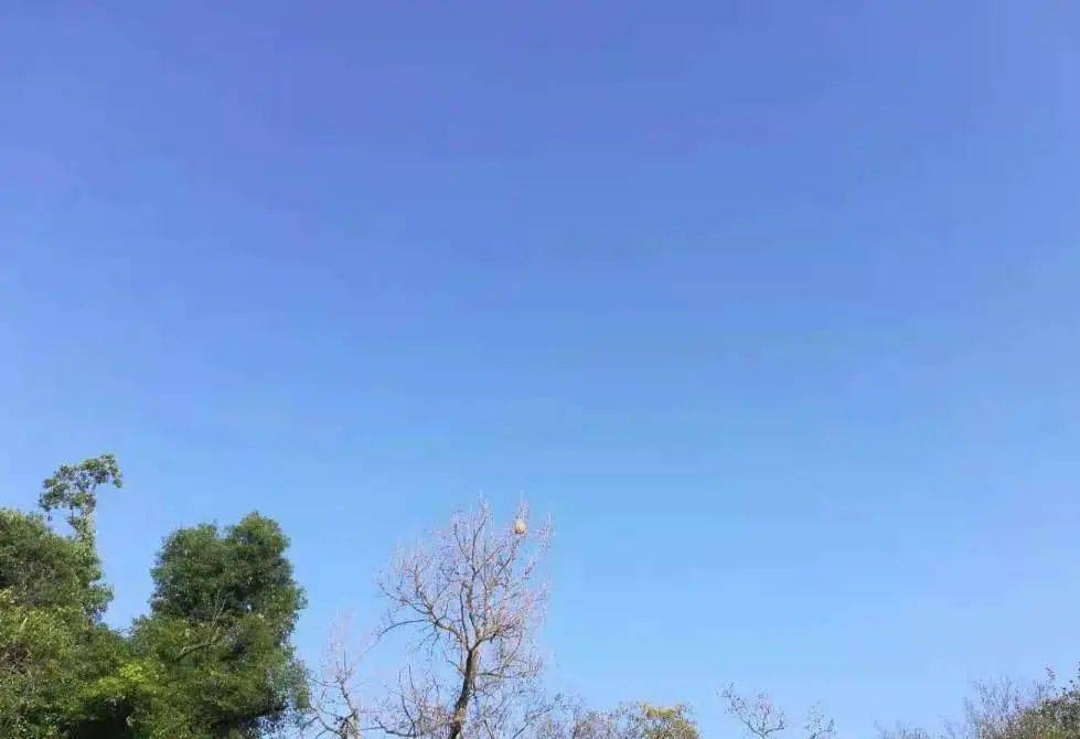 天空的颜色·蓝_蓝天