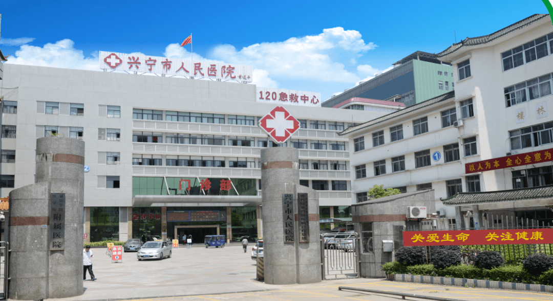 兴宁现有人口_人口普查(2)