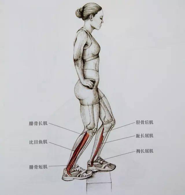 经典21点平台
