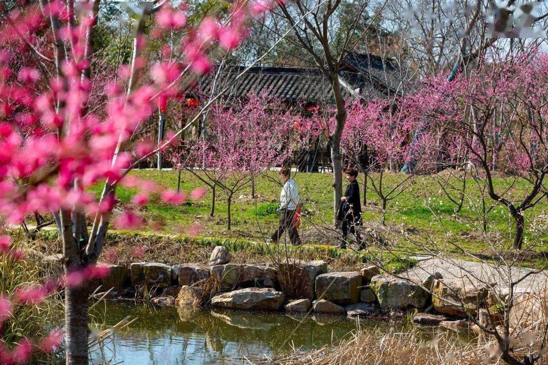天福二年(公元937年),嘉兴镇遏使王逵居此,"植梅百亩,聚货交易,始称王