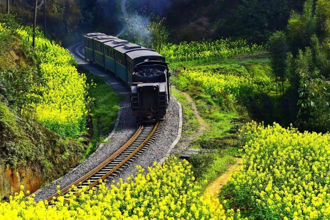 川西春色六日游2021年三月坐上开往春天的列车嘉阳小火车穿行丹巴藏寨