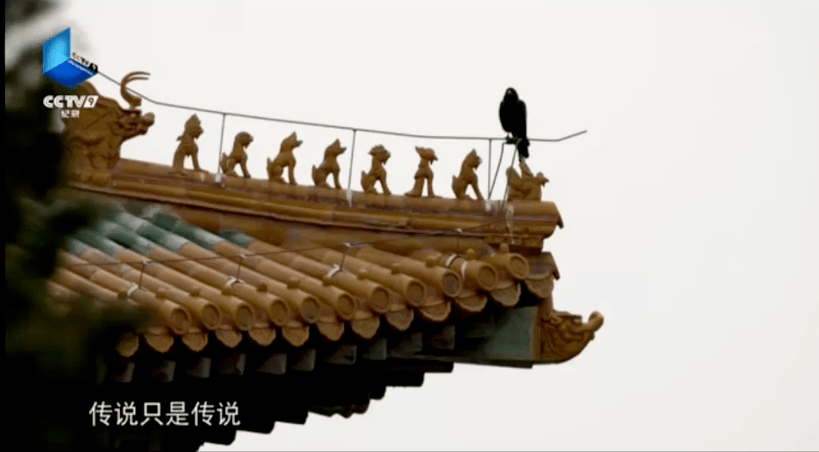 如何飞檐走壁教程 14261087055242959efd5d67eb39a7bc.png