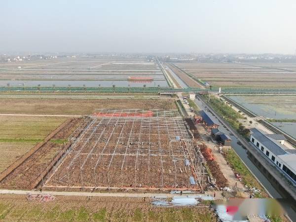 大通|益阳大通湖：将建成全省最先进的现代农业智慧育秧工厂