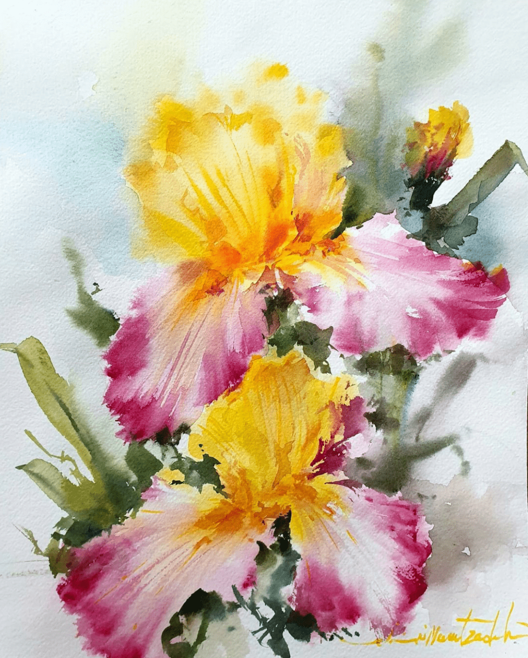 伊朗水彩画家——shirin nematzadeh 作品欣赏(花卉篇一)