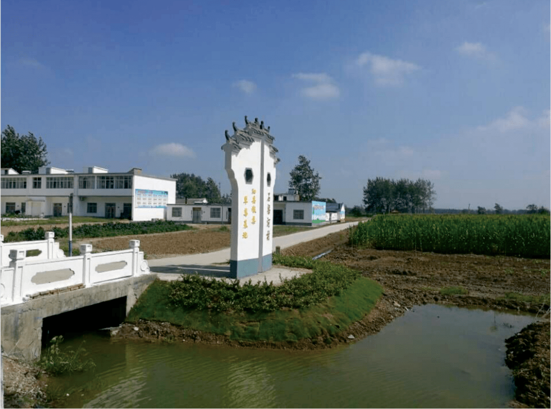 2021年你们乡镇将这么干(五)_草沟镇