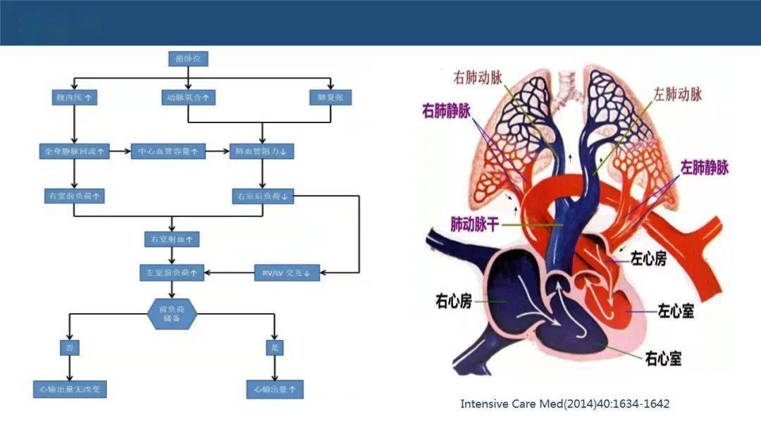 ppt俯卧位通气配套精彩视频