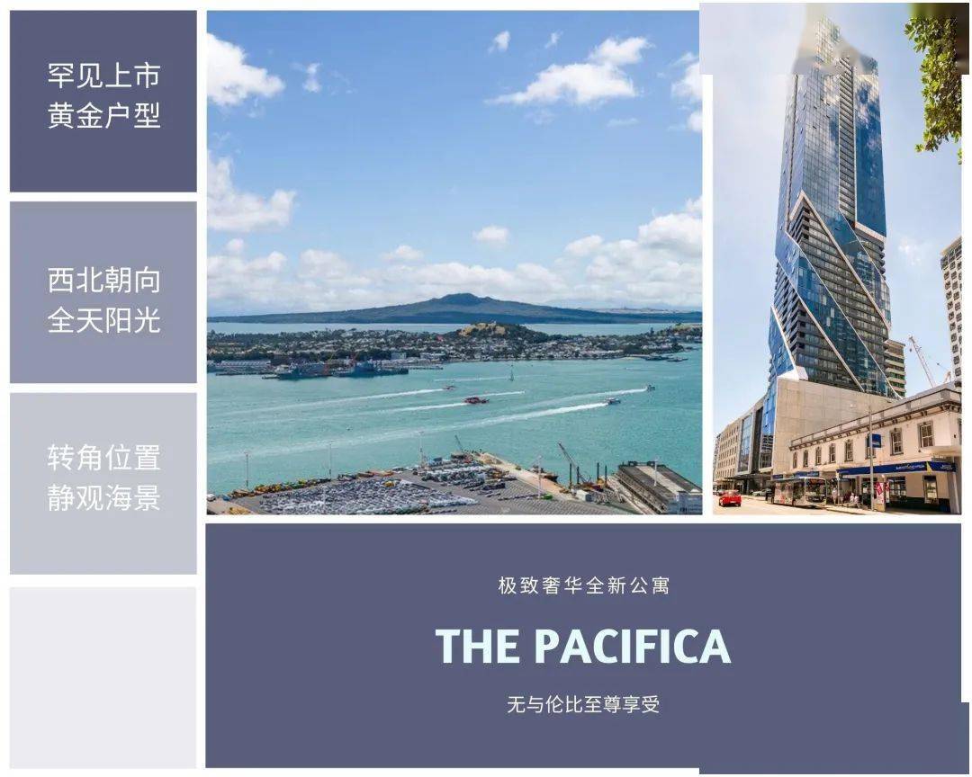 市中心 The Pacifica 最佳黄金西北转角户型 现房拍卖 May Mark专业房地产销售团队 Eden