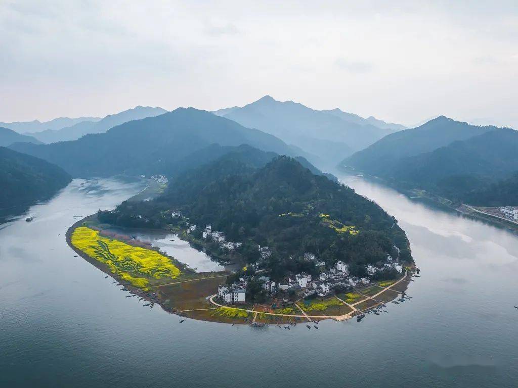 3月17日,清晨換乘本地小車拍攝武陽大川島高山油菜