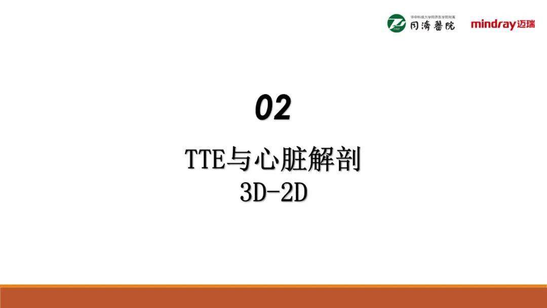 武汉同济医院麻醉科围术期经胸超声心动图tte