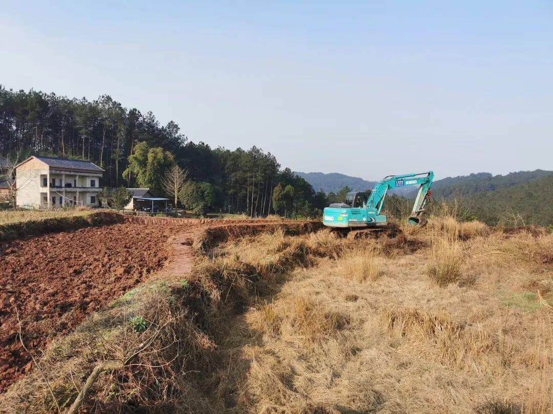 新年伊始资中这里4000亩高标准农田建设正如火如荼建设