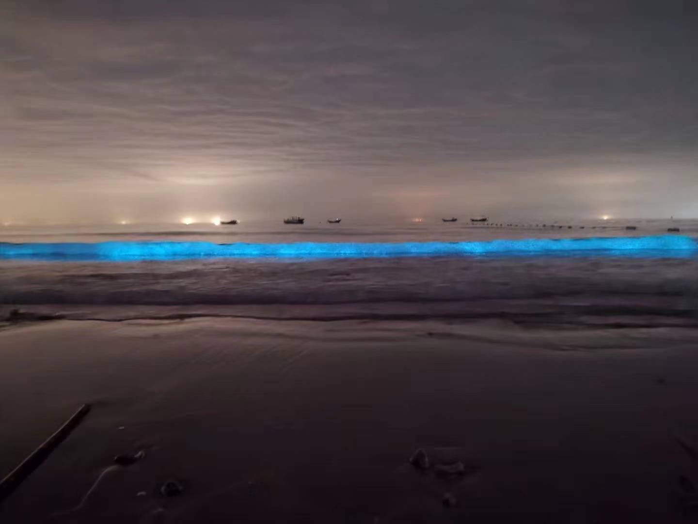 海灘景象,宛若藍色星河般的熒光隨海浪浮現,讓眾多島民和遊客大飽眼福